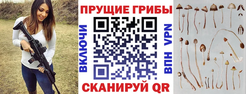 Купить Исилькуль Галлюциногенные грибы прущие грибы